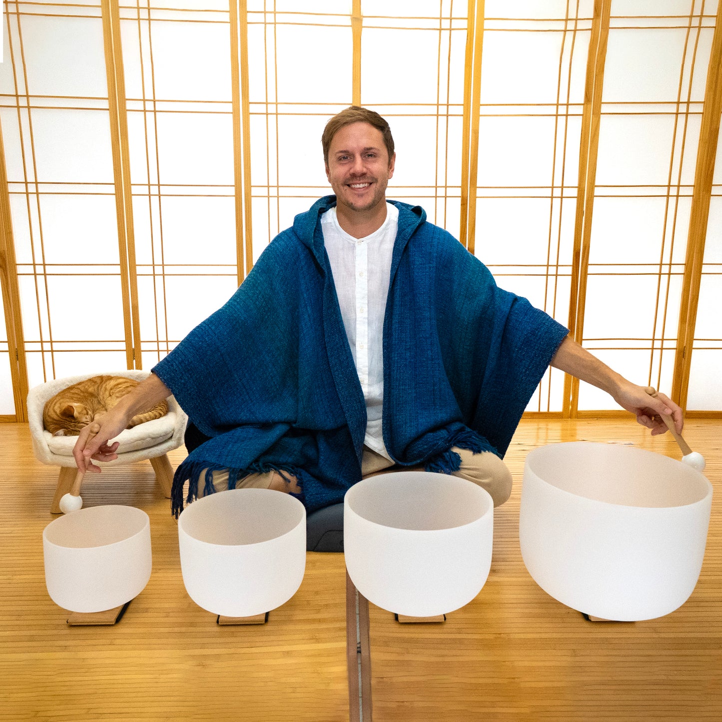 The 4 PILLARS OF ALIGNMENT (Root, Solar Plexus, Throat, Crown)