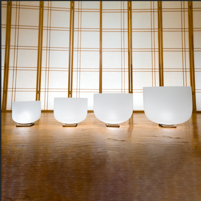 The 4 PILLARS OF ALIGNMENT (Root, Solar Plexus, Throat, Crown)