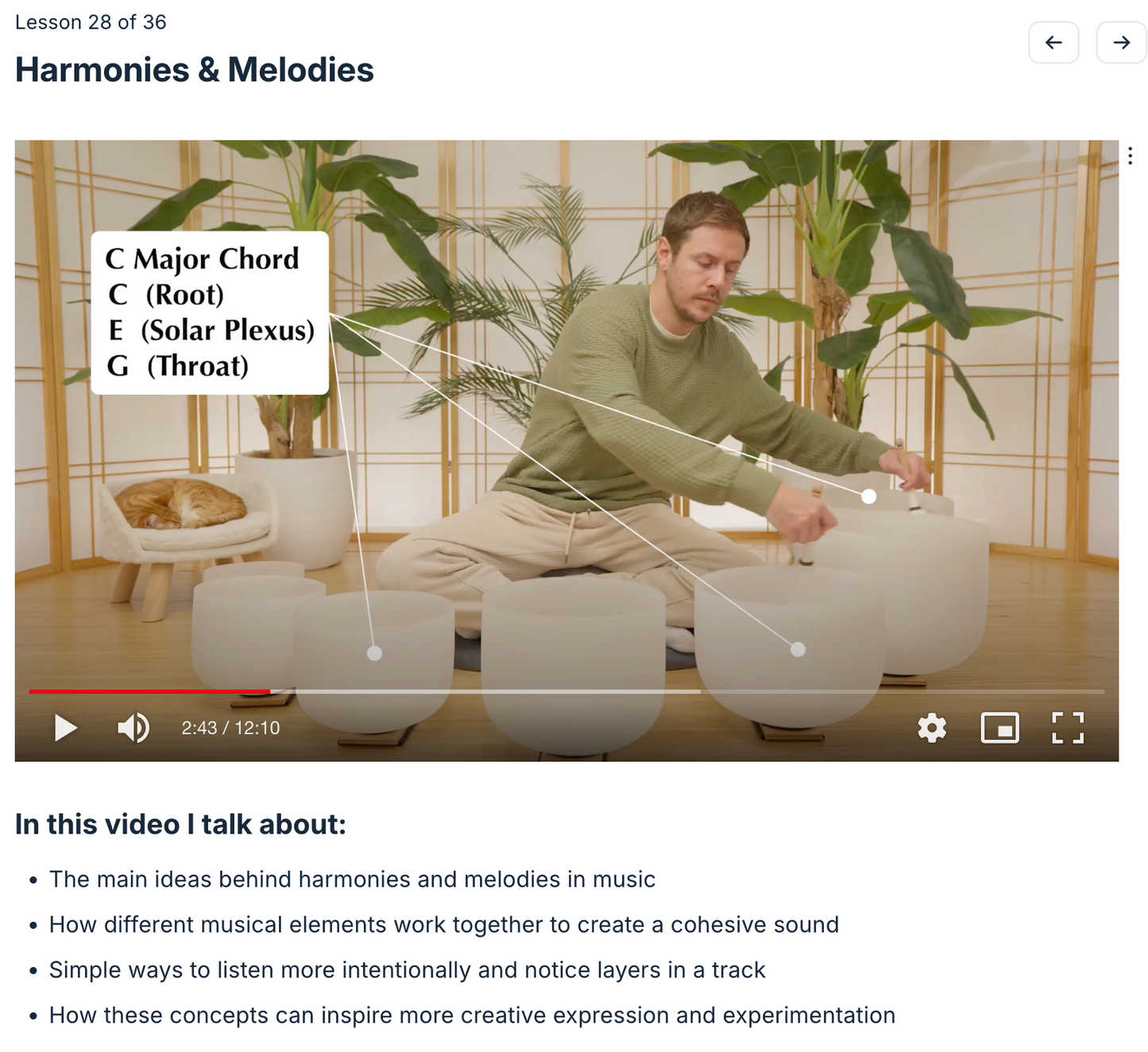 Learn to Play the Crystal Singing Bowls Like Travis